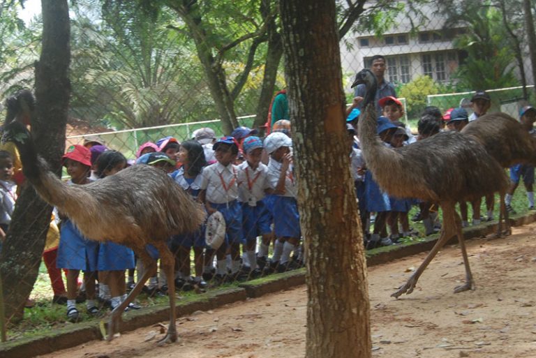 Field trip