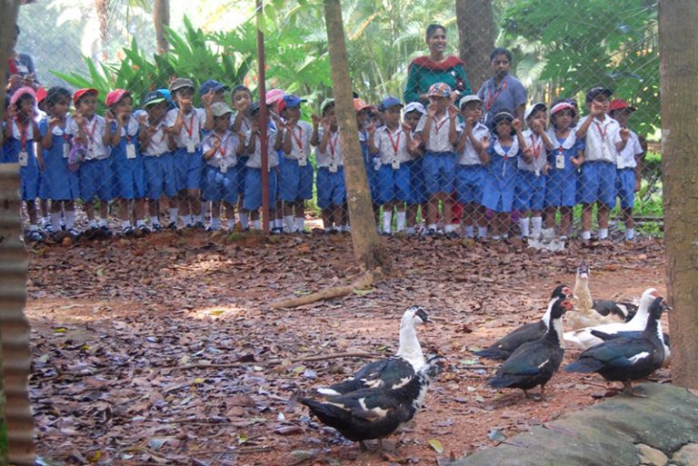 Field trip